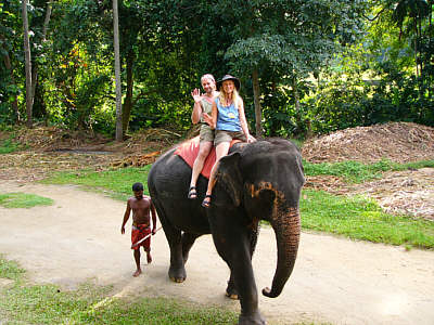 Elefantenreiten - ein unvergessliches Erlebnis!