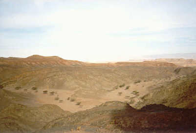 Ausblick whrend des Aufstiegs durch das Wadi Rod el-Air