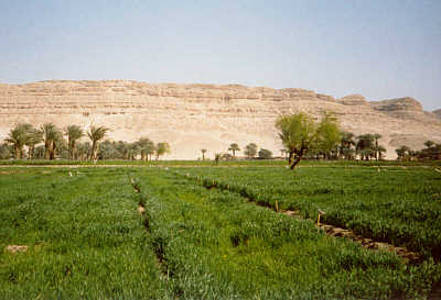 Blick auf die Steilwand mit den Felsengrbern von Beni Hassan
