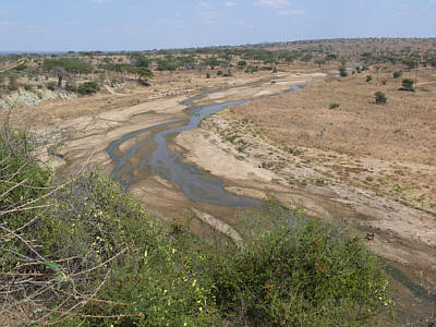 Blick von der Matete Picnic Site ber den Tarangire River, Tarangire Nationalpark