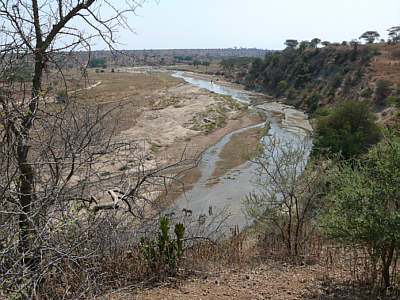 Blick von der Matete Picnic Site ber den Tarangire River, Tarangire Nationalpark
