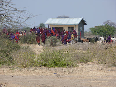 Viehmarkt am Ortsrand von Mto Wa Mbu