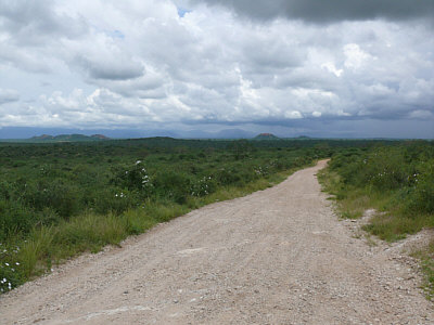 Blick ber die Landschaft des Tsavo West Nationalparks