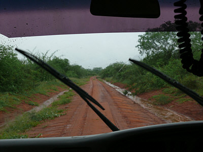 Regen im Tsavo West Nationalpark