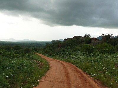Landschaft nahe Ngulia im Tsavo West Nationalpark
