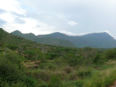 Landschaft im Tsavo West Nationalpark