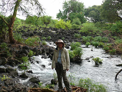Quelle in Mzima Springs im Tsavo West Nationalpark