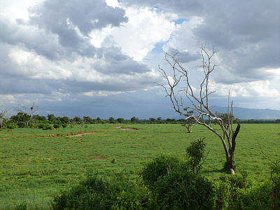 Gewitterstimmung am Kanderi Swamp im Tsavo East Nationalpark