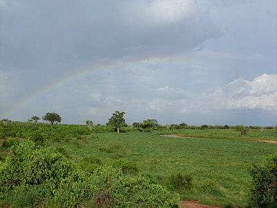Regenbogen ber dem Kanderi Swamp im Tsavo East Nationalpark