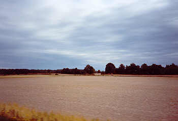 Getreidefeld bei Mønsterås