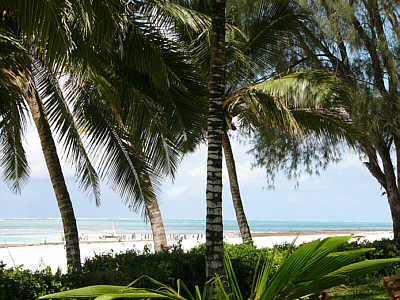 Blick ber die den Hotelgarten begrenzende Hecke auf den Strand und den Indischen Ozean
