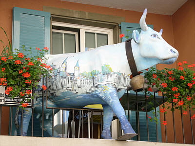 Schweizer Kuh auf einem Balkon am Hirschenplatz