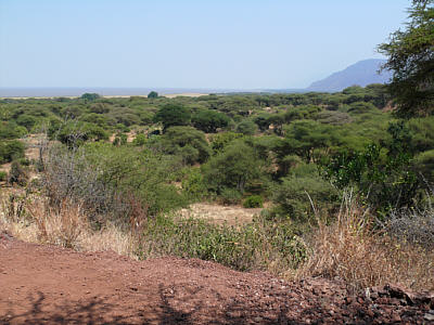 Ausblick von der Msasa Picnic Site über einen Teil des Lake Manyara Nationalparks