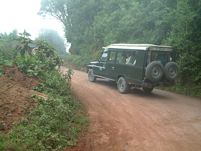 Serpentinen hinauf zum Rand des Ngorongoro Kraters