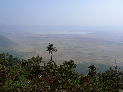 Blick hinunter in den Ngorongoro Krater