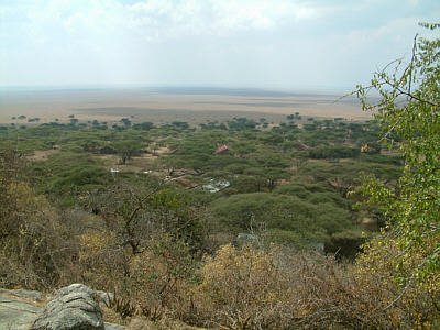 Ausblick vom Kopje am Gate über die Serengeti Planes