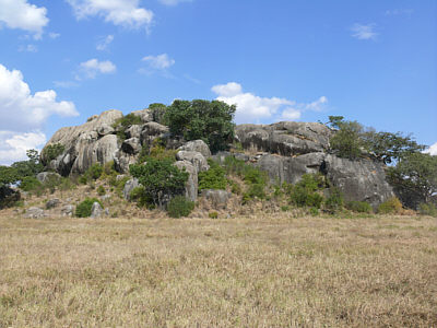 Kopje im Serengeti Nationalpark