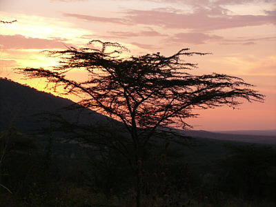 Farbenspiel beim Sonnenuntergang in der Serengeti