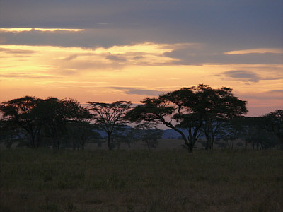 Abendrot im Serengeti Nationalpark