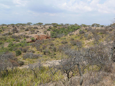 Blick in einen Seitenausläufer der Olduvai-Schlucht