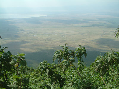 Blick hinunter in den Ngorongoro-Krater