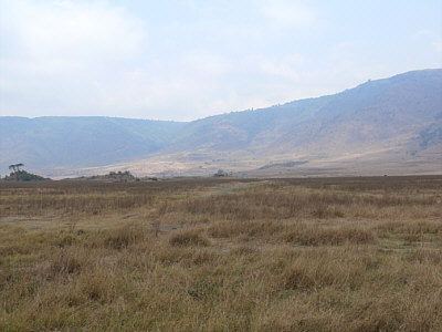 Landschaft im Ngorongoro Crater Nationalpark