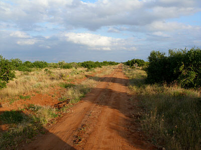 Landschaft im Tsavo East Nationalpark