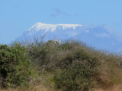 Blick zum Kilimanjaro vom Tsavo West Nationalpark