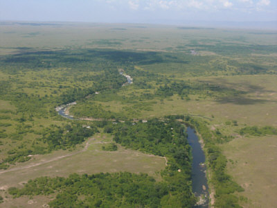 Der Mara River aus der Luft