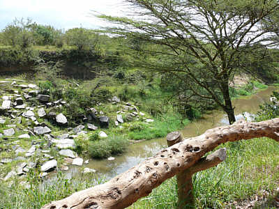 Ausblick von unserem Zelt im Camp Oloshaiki am Talek River / Maasai Mara