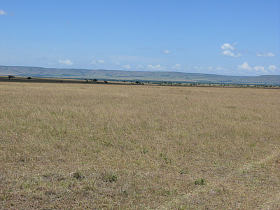 Blick ber die weite Savannenlandschaft auf das Oloololo Escarpment