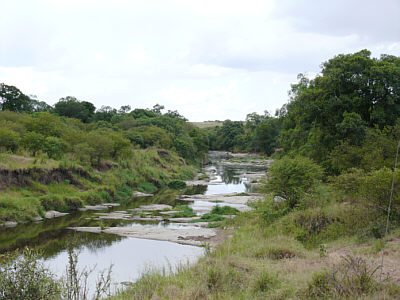Talek River in der Maasai Mara