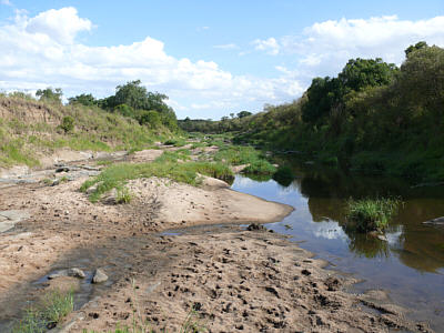Wasserlauf in der Maasai Mara