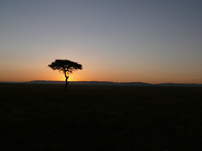 Morgenrot ber der Maasai Mara