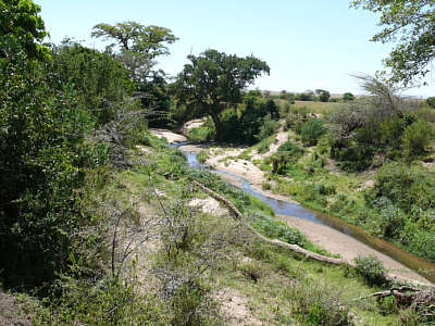 Talek River in der Maasai Mara