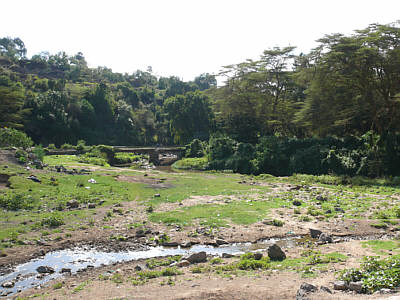 Narok River in Narok