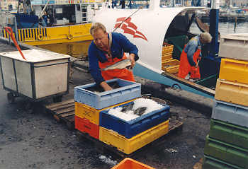 Fischer im Hafen von Fåborg