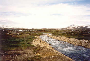 Bach auf dem Saltfjell