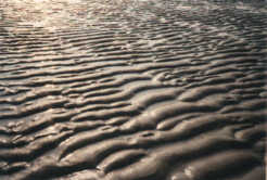 Wellenstruktur im Sand