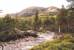Gebirgsbach auf dem Gaularfjell