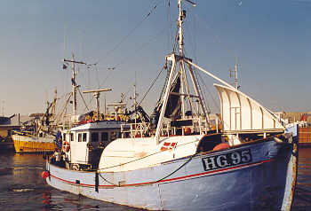 Fischkutter im Hafen von Hirtshals