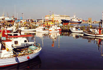 Fischerboote im Hafen von Hirtshals