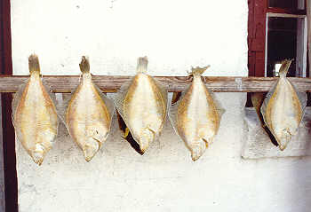 Trockenfisch in Skagen