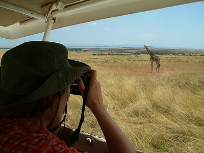 Giraffenpirsch im Masai Mara National Reserve